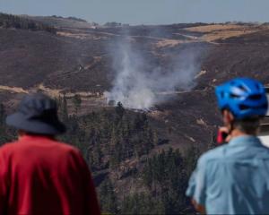 The Port Hills fire in Christchurch has been burning for days. Photo: Kirk Hargreaves via NZH