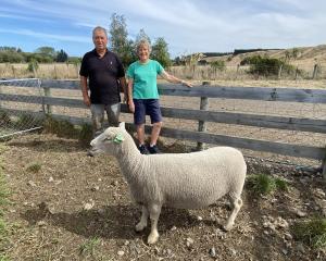 Amberley’s Wayne and Jenny Chisnall alongside the top-priced four-tooth ewe sold for $2050 to...