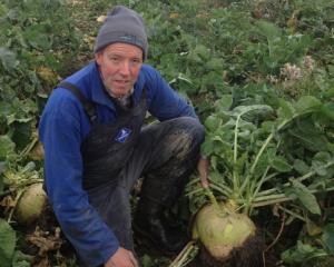 Organiser of the 2024 Rotary Club of Wānaka Cropping Competition George Scott. PHOTO: SUPPLIED