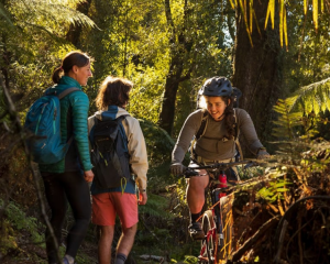 The Paparoa Track - which is connected to the new Pike29 walk - is shared by trampers and...