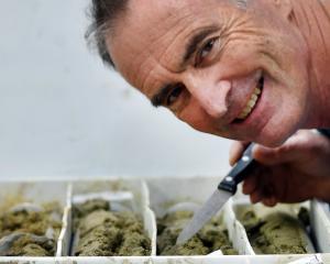 GNS Science’s principal scientist Dr Simon Cox shows off a core of earth from South Dunedin,...
