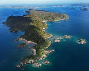 Ulva Island in Foveaux Strait. PHOTO: FILE