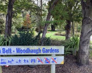 Woodhaugh Gardens has been earmarked as a possible location for upgrade. Photo: ODT files 