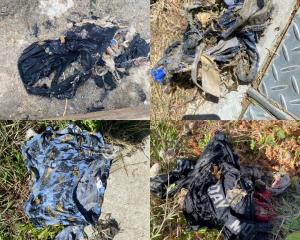 Some of the errant undies. Photo: Central Otago District Council