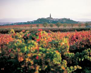 Typical village and vineyard in Rioja province. PHOTOS: PAUL MARSHALL