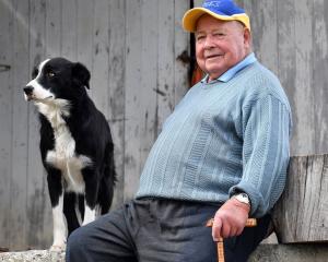 Oamaru dog triallist Angus Ferguson and his  dog Floss have achieved some success on the circuit...