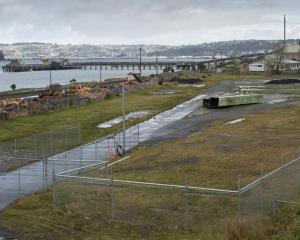 Port Otago is planning to reinstate a plot of land in Ravensbourne, north of Moller Park, for use...