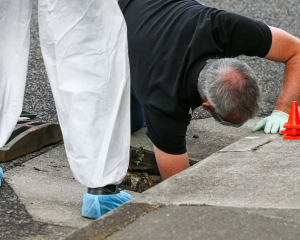 Police investigators searching for evidence down a drain on Sunderland Dr. Photo / Paul Taylor