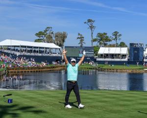 Ryan Fox celebrates his hole-in-one on the famous 17th at the Players Championship. Photo: Getty...