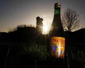 Many Scottish people think Buckfast should be banned. Photo: Getty Images