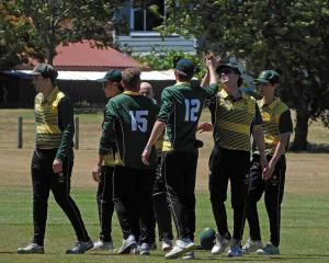 Weedons players celebrate a wicket against Darfield earlier in the season. PHOTO: WEEDONS CRICKET...