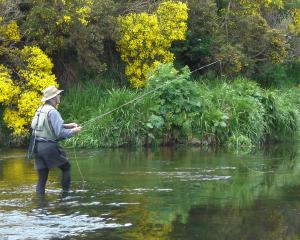 Otago Daily Times angling columnist Mike Weddell on the Waipahi River. Photo: Supplied 