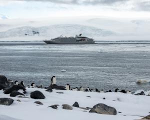 The 'Le Soleal' cruise ship docked in Antarctica, with some penguins in the foreground. PHOTO:...