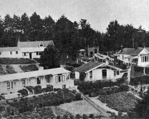 Karitane-Harris Hospital at Andersons Bay, Dunedin. — Otago Witness, 1.4.1924