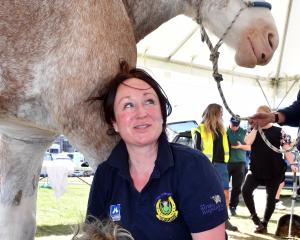 Scottish-born farrier Sarah Brown is one of the few women competing as a farrier internationally....