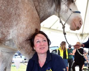 Scottish-born farrier Sarah Brown is one of the few women competing as a farrier internationally....