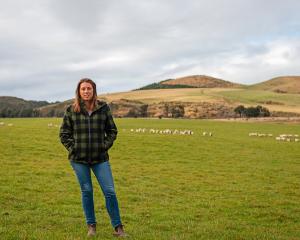 Beef + Lamb New Zealand chairwoman Kate Acland says the board will discuss the results of farmer...