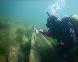 A diver inspects hessian matting on the lake bed in Paddock Bay, Lake Wānaka. Native plants can...