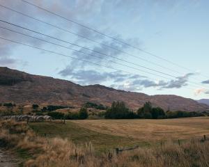 The site of the former Coronet Forest. PHOTO: SUPPLIED