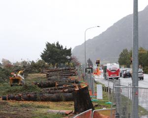 Trees are removed from near the Frankton intersection on State Highway6 near Queenstown as work...
