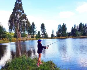 An Angler at Coalpit Dam in 2019. PHOTO: ODT FILES