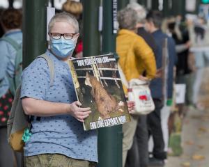 Anne Barkman protests against live animal exports, in the Octagon. PHOTO: GERARD O’BRIEN