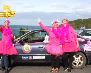 The driver of the 2001 Toyota Camry The Flying Flamingos, Ginni Anderson of Auckland, is joined...