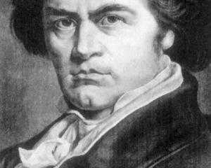 Ludwig van Beethoven was considered a rule-breaker. Photo: ODT Files