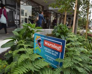 A sign in George St, Dunedin, warns people to stay out of garden beds because of "carnivorous...