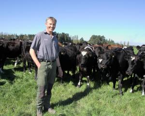 Methven farmer John McCaw usually trades 4000 to 5000 lambs each year, but is planning to reduce...