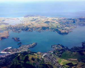 Otago Harbour. PHOTO: ODT FILES