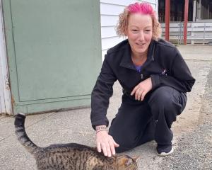 Gore woman Stacey Smith checks out how Biskit the cat is, a week after she found the feline in...
