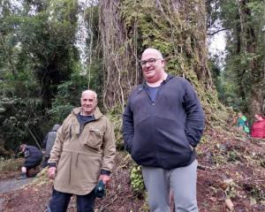 The two men who discovered the old rimu tree Lindsay Molloy (left) and Phil Barker at the base of...