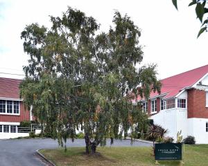 Hope Church, Pine Hill. PHOTO: PETER MCINTOSH