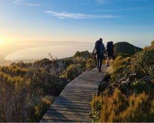 The Hump Ridge Track near Tuatapere, in Fiordland, is one of the Great Walks. Photo: RNZ