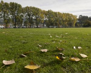 The Dunedin City Council will finally put a reserve proposal for Logan Park out to the public...