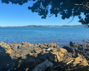 The woman's body was found in the water off Māhina Bay in Wellington harbour on Sunday. Photo: RNZ 