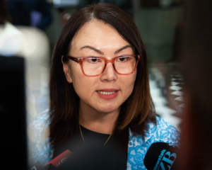 Melissa Lee. Photo: RNZ