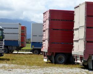 The government has closed a pathway for migrant truck drivers to gain residency. PHOTO: STEPHEN...