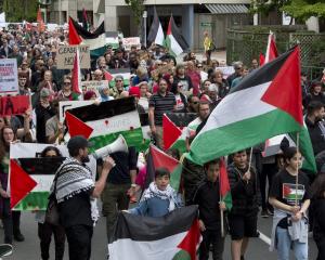 Demonstrators in Dunedin call for an immediate ceasefire in Gaza. PHOTO: GERARD O’BRIEN