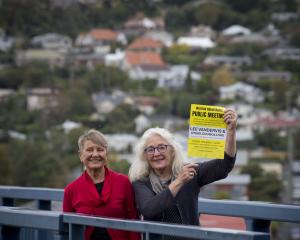 Reduce Rates Group members Robyn Vintiner (left) and Sandy Lotus are concerned about the Dunedin...
