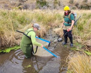 Doc freshwater technical adviser Sjaan Bowie (left) and biodiversity ranger Tayla Hooker electric...
