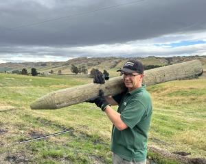 Matt Sutton, of Dunedin, carries a wooden post as a team of volunteers restore a section of...