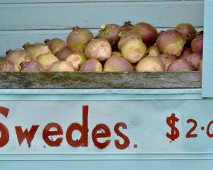 Swedes for sale at a roadside stall in Stirling, South Otago. Photo by Gerard O'Brien.