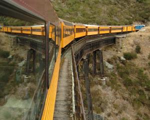 Options for train services in the Taieri Gorge will soon be discussed by the Dunedin City Council...