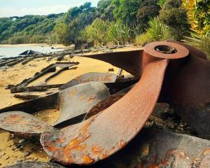 More than a dozen steel propellers, damaged by the sea ice, were abandoned by the whalers on the...