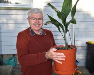 David Fynmore  with his aspidistra, which has been in his family for 150 years. PHOTOS: SUPPLIED