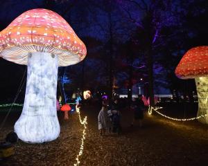 Glow in the Park at Tinwald Domain last year was attended by thousands of people. PHOTO: FILE