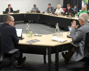 Andrew Simms (centre, right) speaks during a Dunedin City Council hearing yesterday about whether...