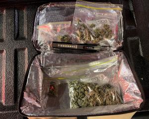 Cannabis was seized in the operation. Photo: NZ Police